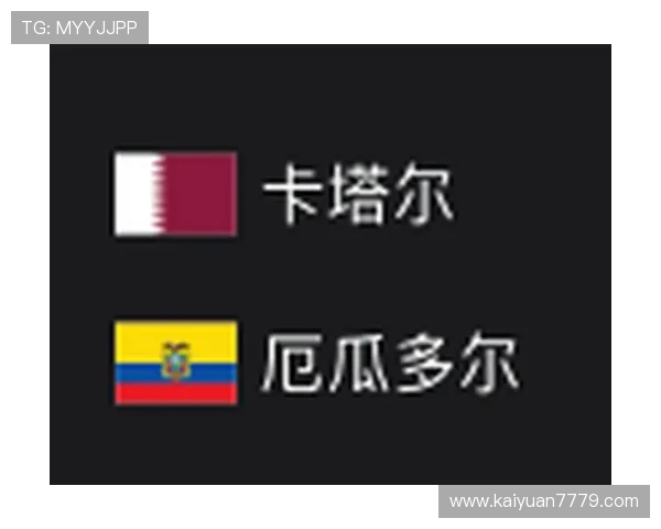 厄瓜多尔德国半场比分最新统计数据及比赛关键时刻总结